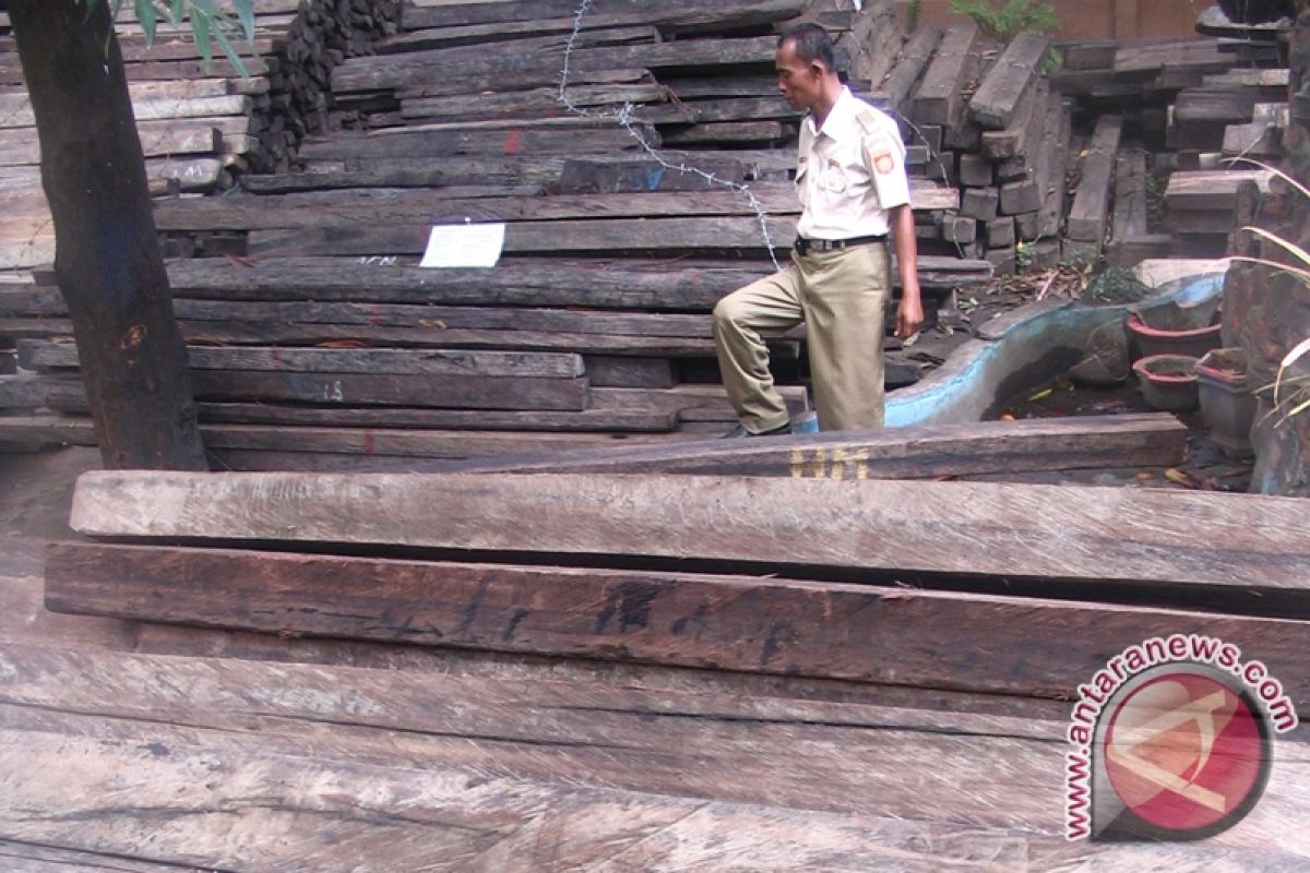 Tim gabungan tangkap tangan ilegal logging