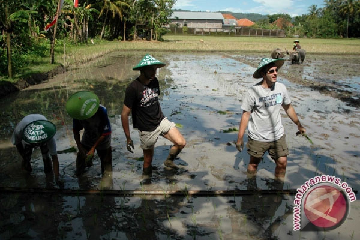 Jalan menuju wisata Imogiri hingga Dlingo akan dilebarkan