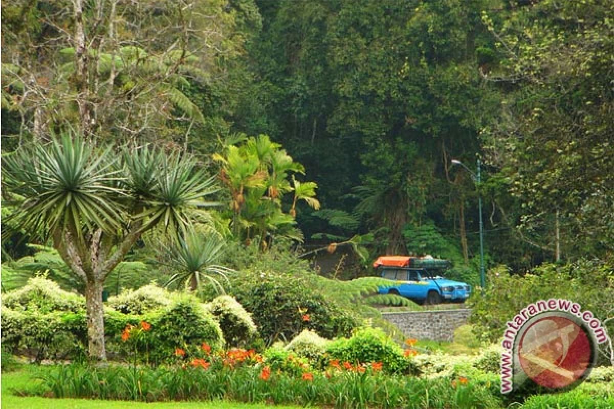 Hutan Pelawan akan dijadikan Kebun Raya Bangka