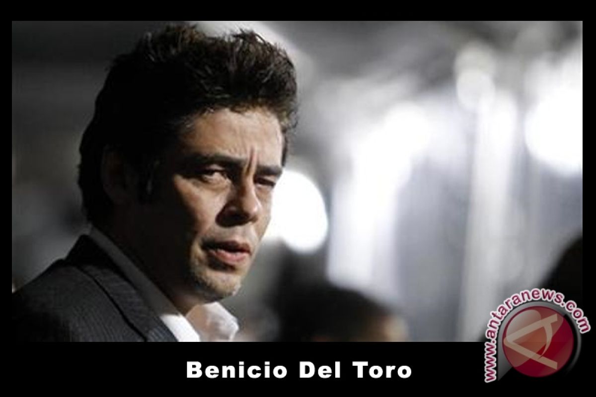 Benicio Del Toro Akan Punya Bayi Bersama Putri Rod Stewart