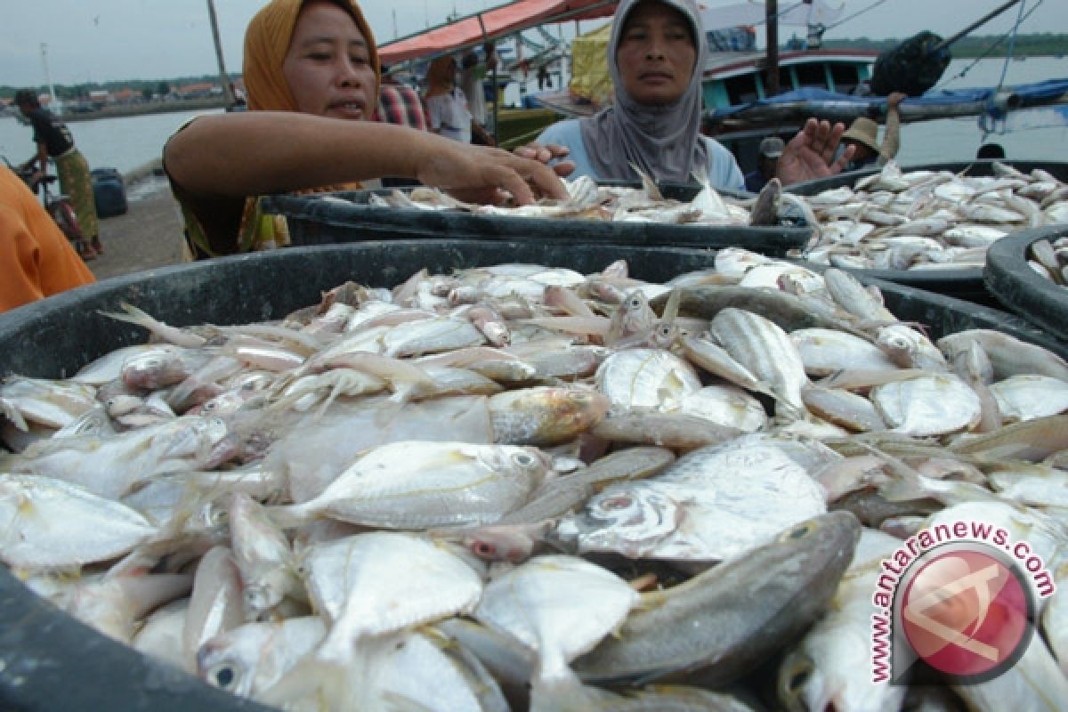 Kelompok usaha perikanan dapat bantuan Rp1,2 miliar