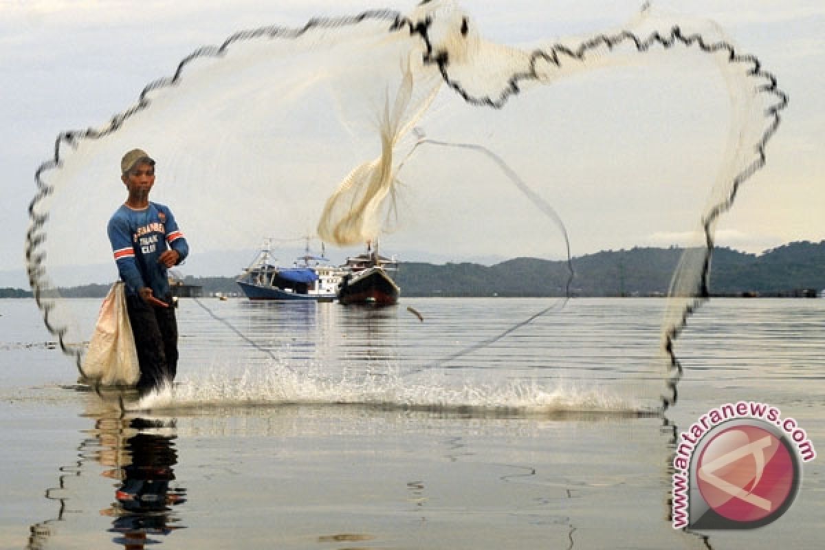 Ikan  Batanghari Terancam Limbah Tambang Emas