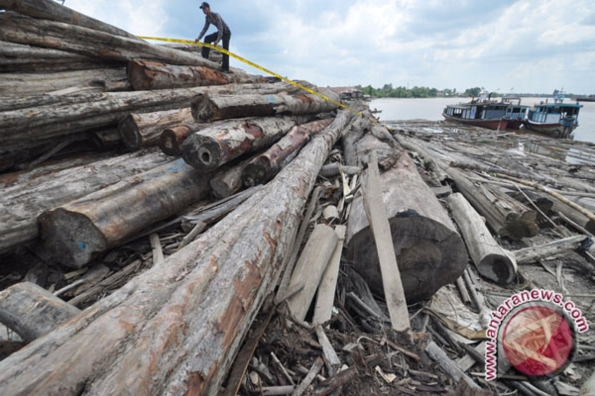 RI losing Rp36 trillion by  illegal logging annually
