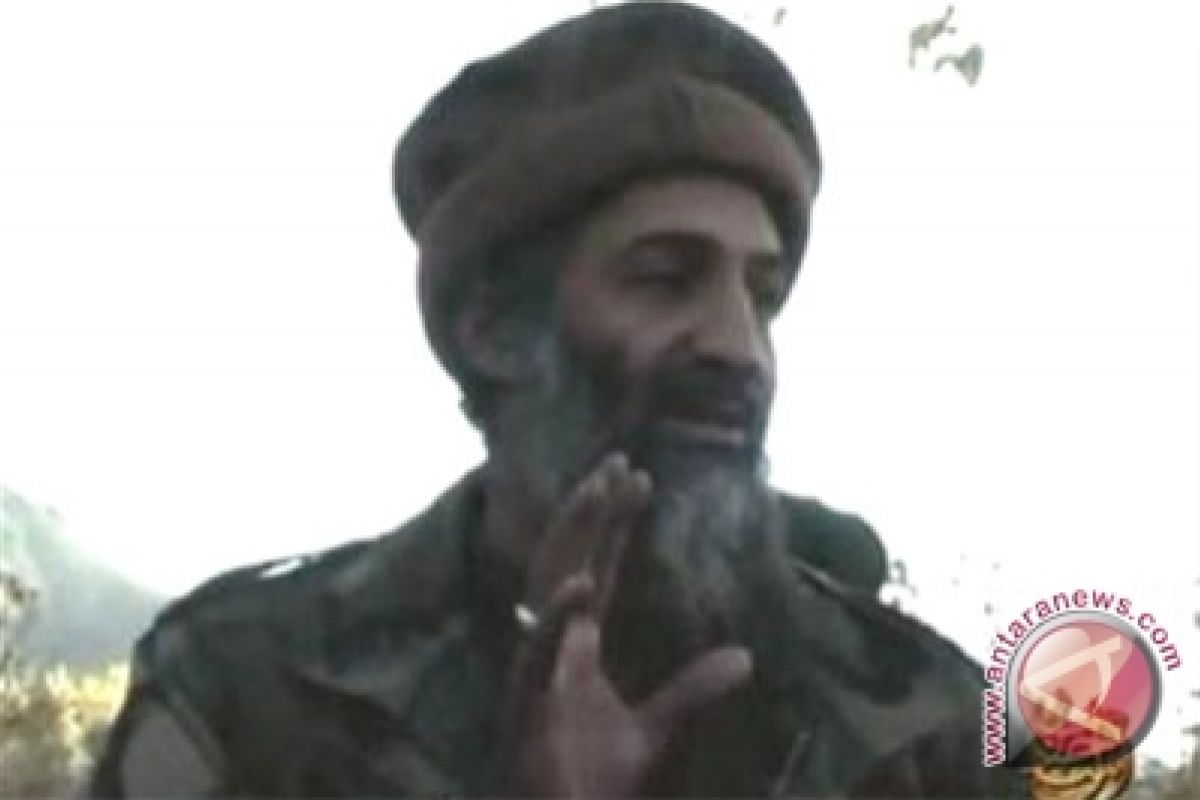 'Osama Tewas' Langsung Terpopuler di Internet