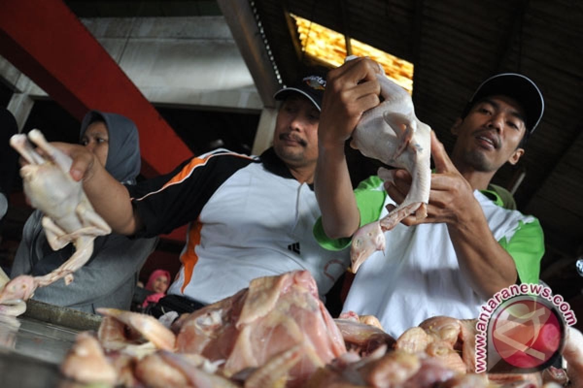 Indonesian ministry discloses confiscation of illegal meat import