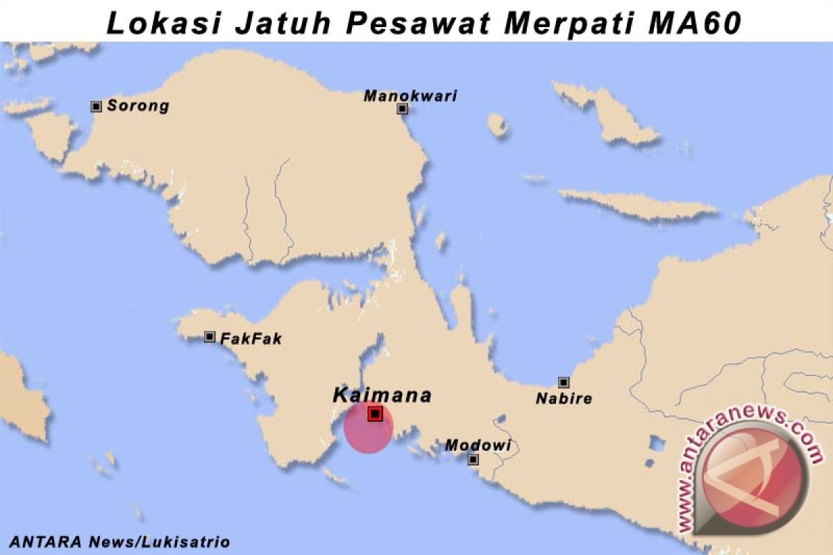 DPR : Merpati Sebaiknya Dilikuidasi Saja