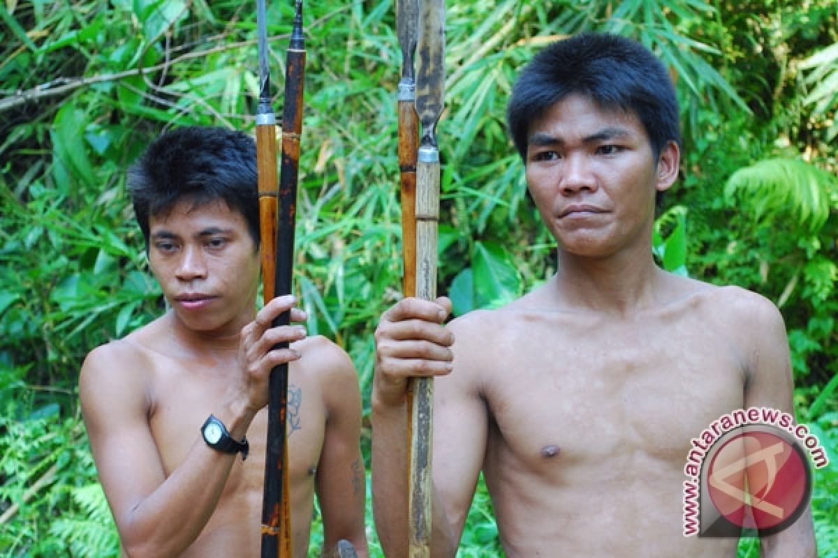 WRI: potensi hutan adat Riau sampai 300 ribu hektare