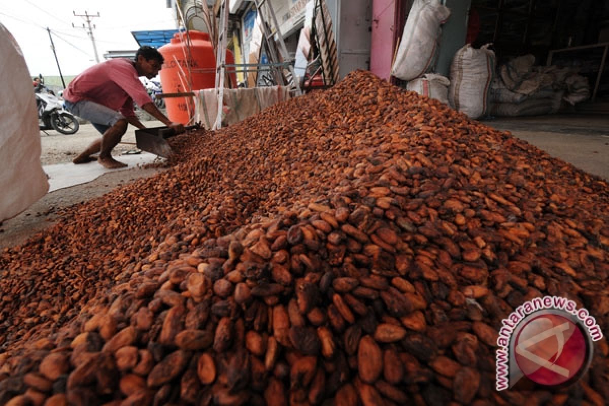 S Sulawesi`s cocoa bean exports wown 34 pct