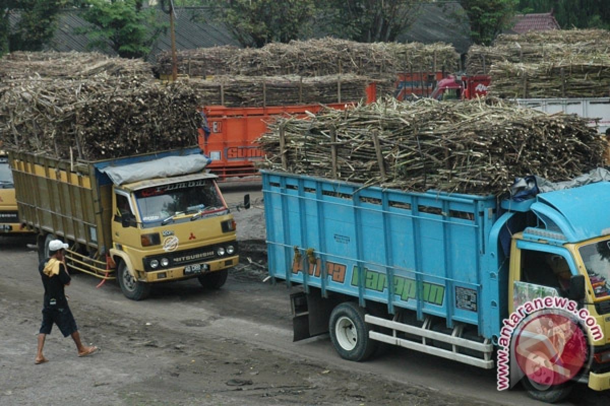 Pabrik Gula Penyumbang Kerusakan Jalan Kabupaten Malang 