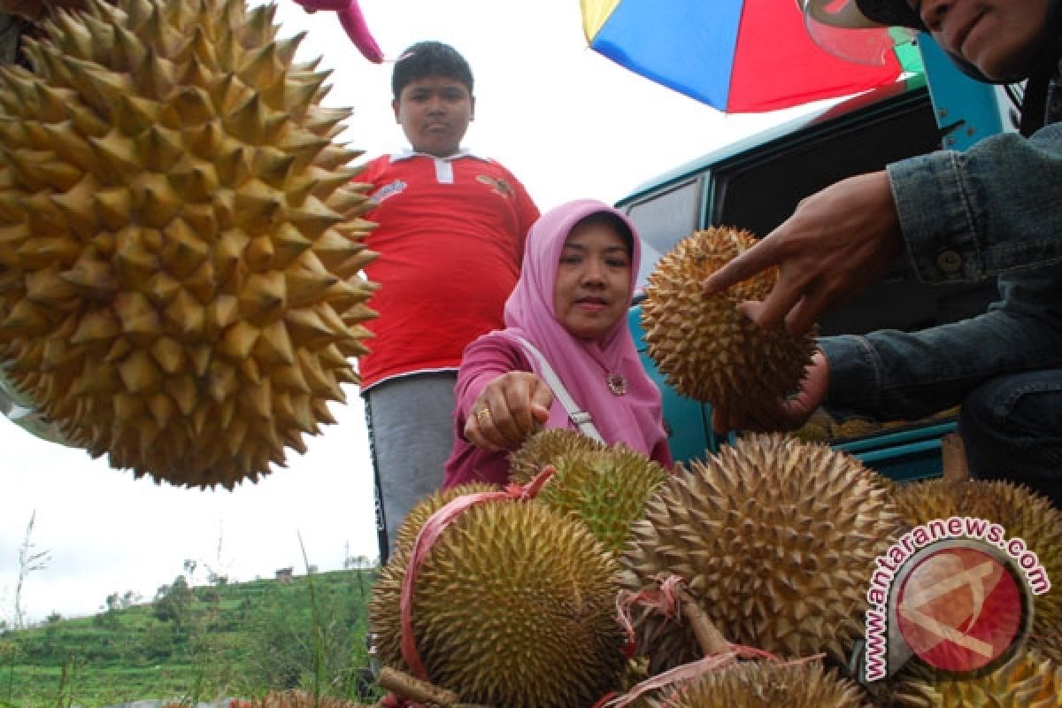 Pekanbaru "banjir" buah durian