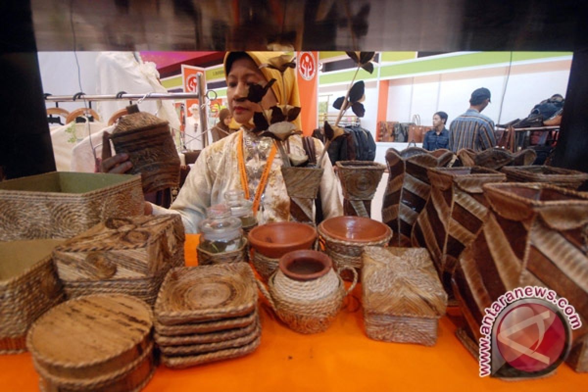 Pela Village develops Water Hyacinth Industry