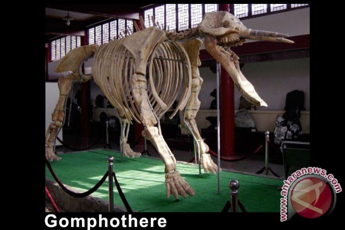 Tengkorak Mastodon Ditemukan di Chile