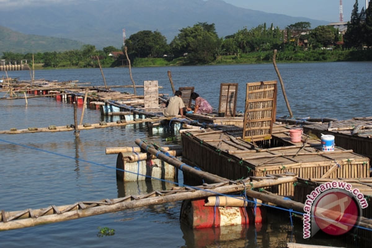 Minapolitan tingkatkan pelestarikan ikan lokal