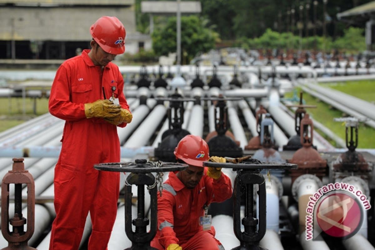 Iraq invites Pertamina to cultivate oil blocks again