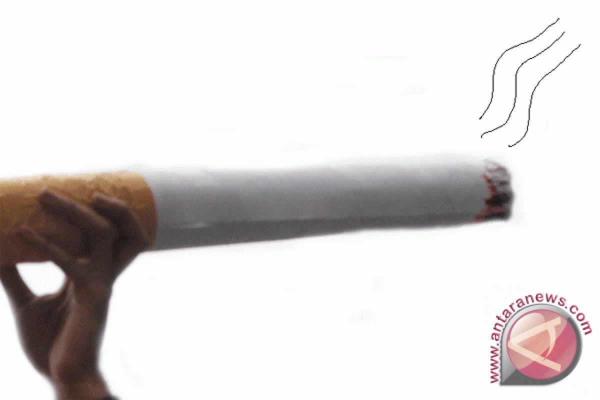 Denda Rp1 juta untuk perokok di tempat umum