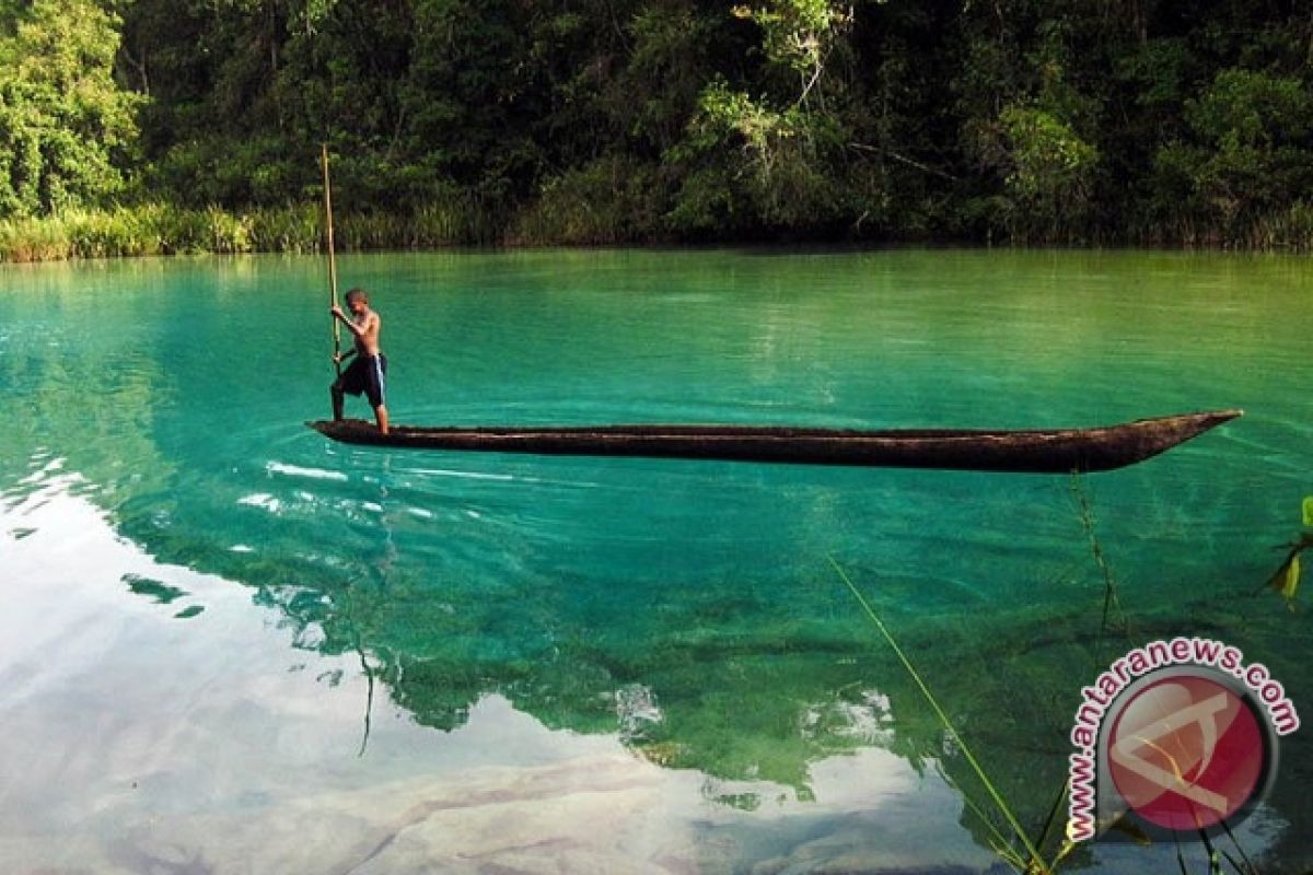 Ikan Hias di Danau Ayamaru Terancam Punah 