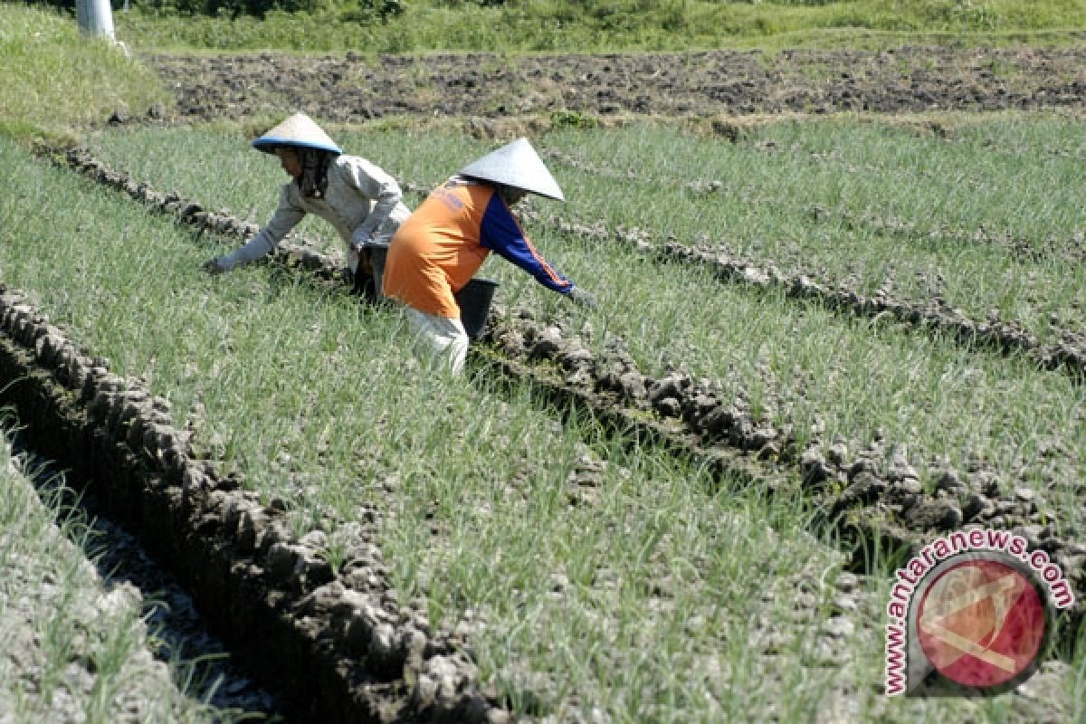 Dua Desa Mendapat Anggaran Rp2 Miliar