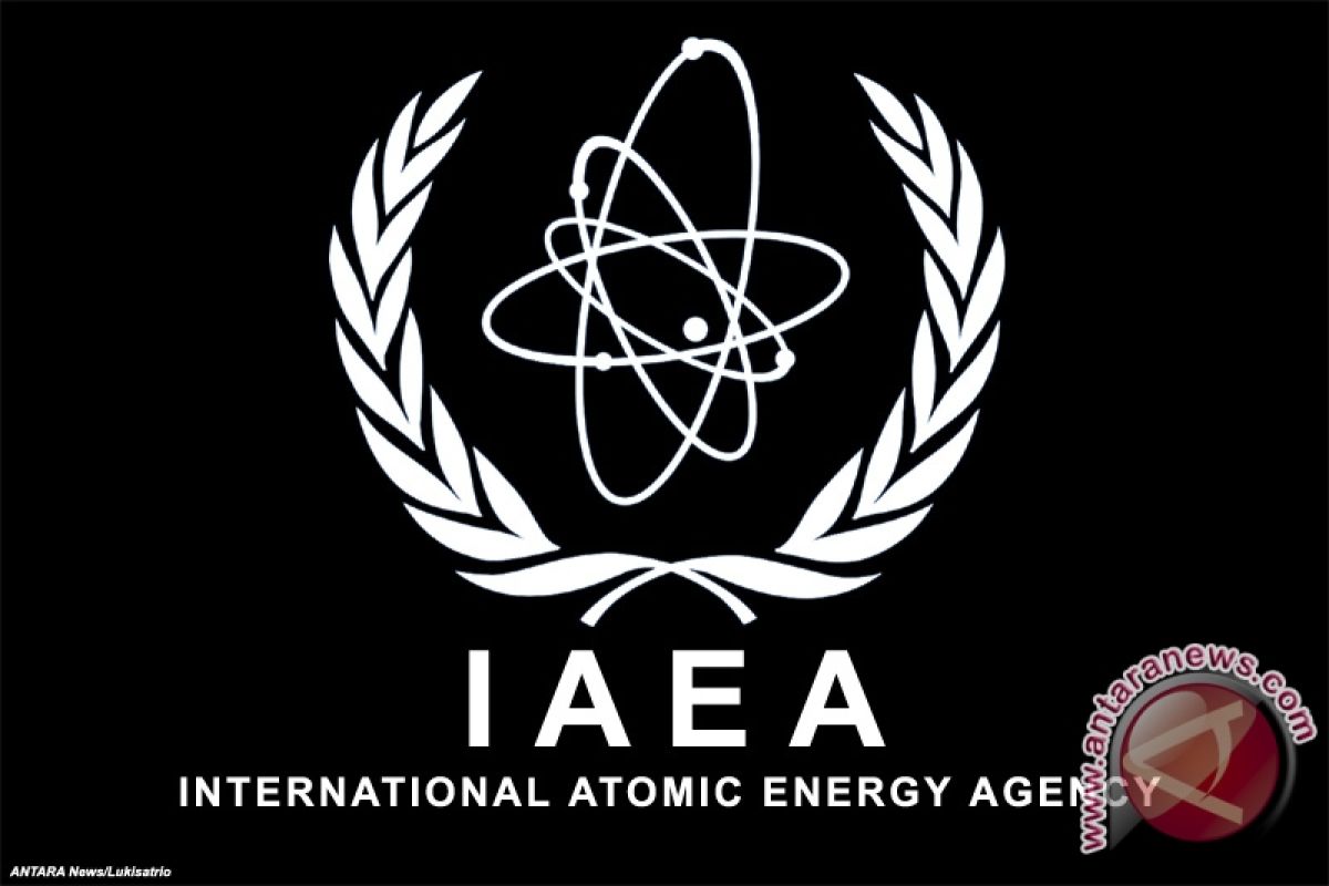 IAEA official observing  nuclear technology application results in  RI