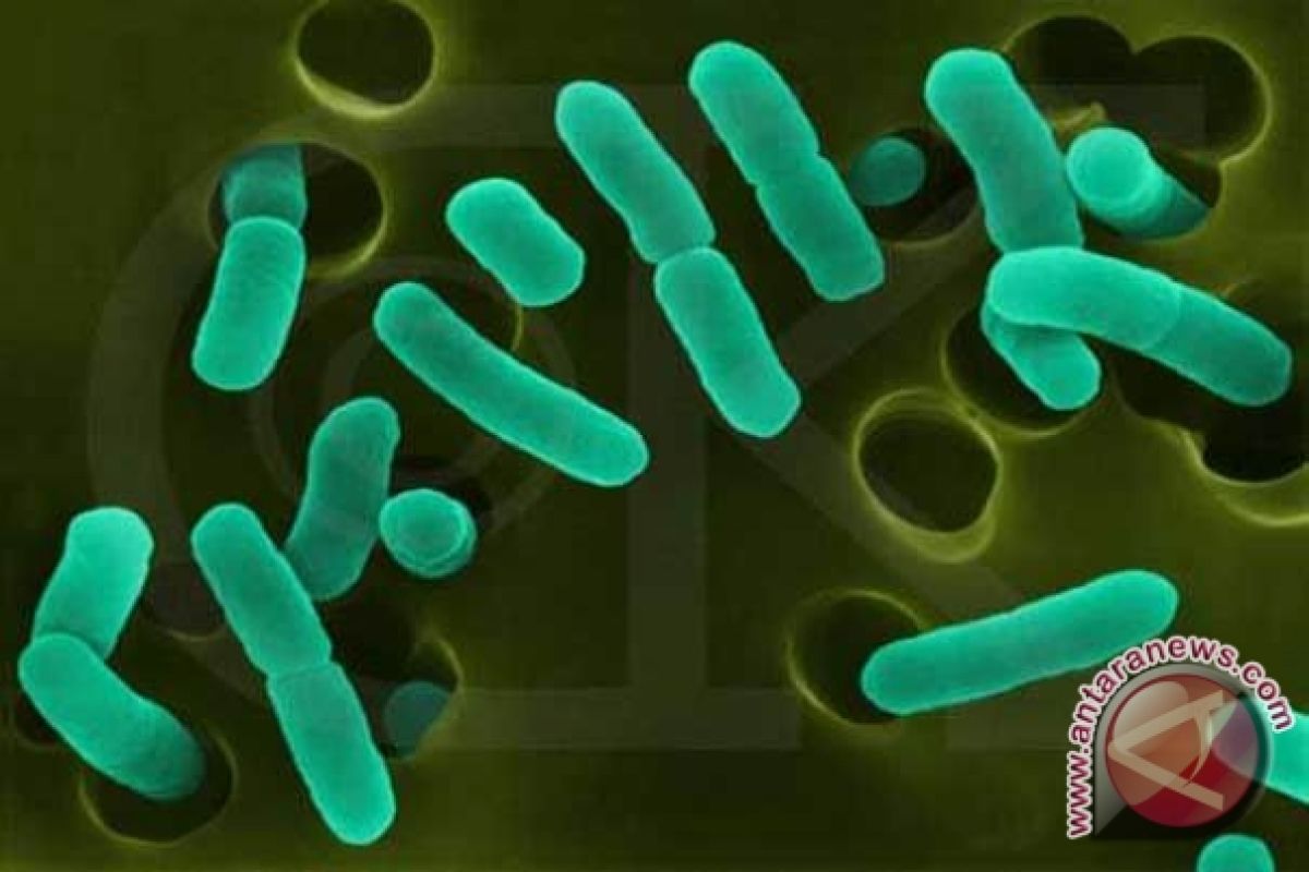 Death toll from E. Coli rises to 30