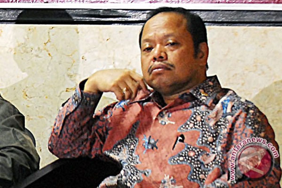 Sutan usul SBY tunjuk pengganti Anas