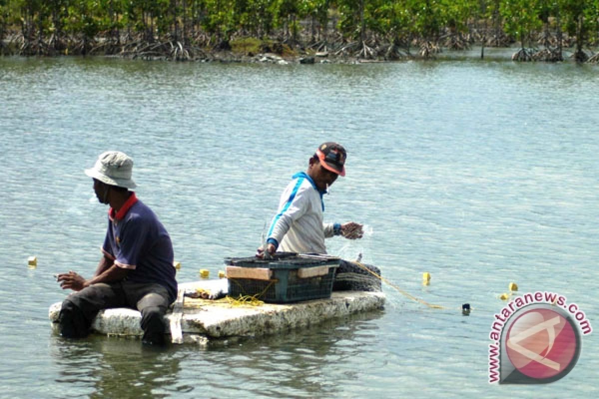 Tercemar Limbah Tambang, Ribuan Ikan Mati