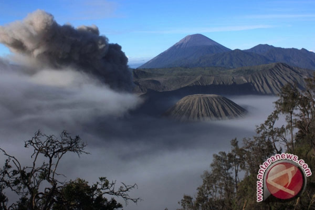 Bromo Marathon 2014 incar 3.000 peserta