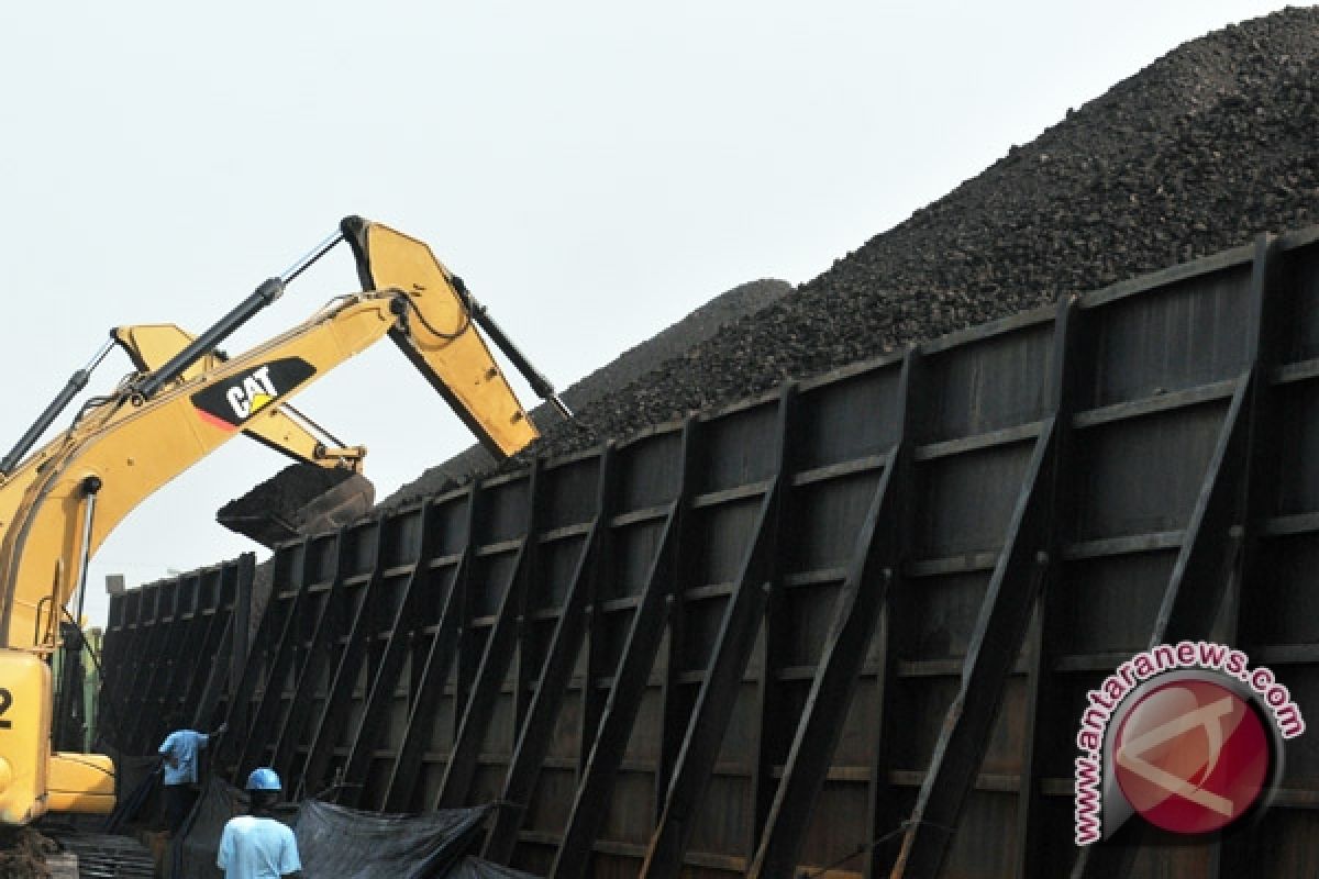 Kementerian ESDM: harga batubara turun 11,7 persen