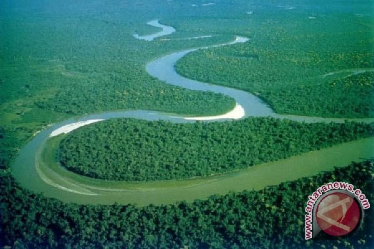 Kawasan Hutan Dapat Memperkuat Ketahanan Pangan Kalbar 