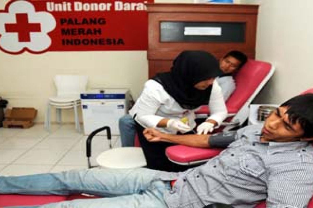 PMI Mamuju Utara gelar donor darah 