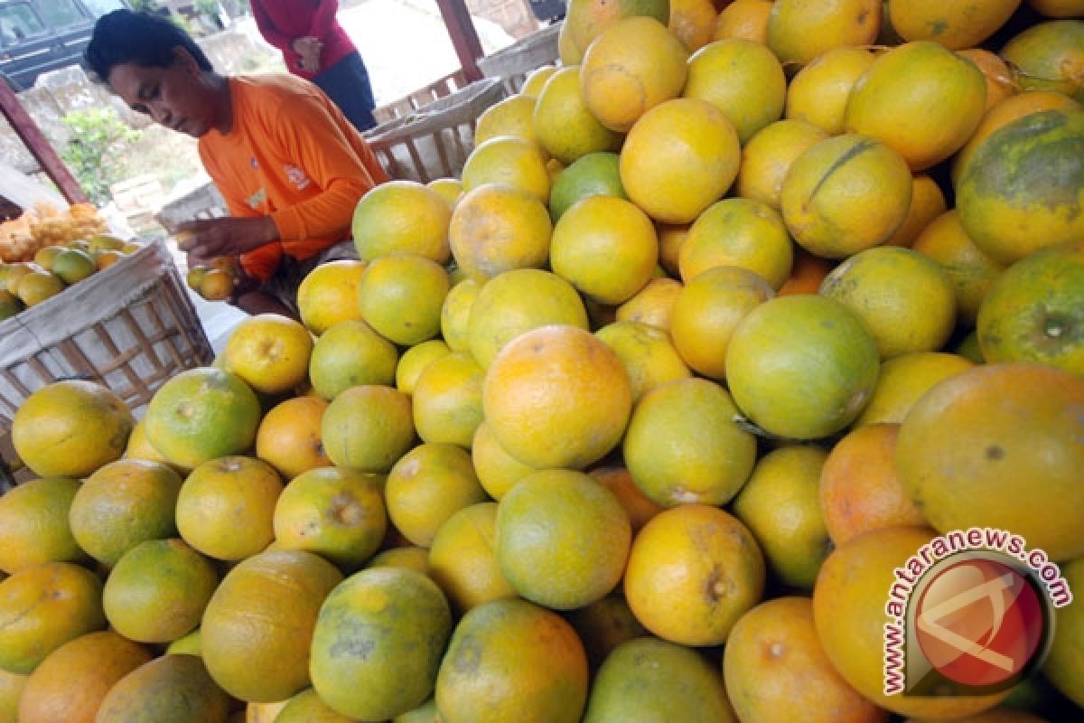 Indonesia to launch `orange revolution` to boost tropical fruit exports