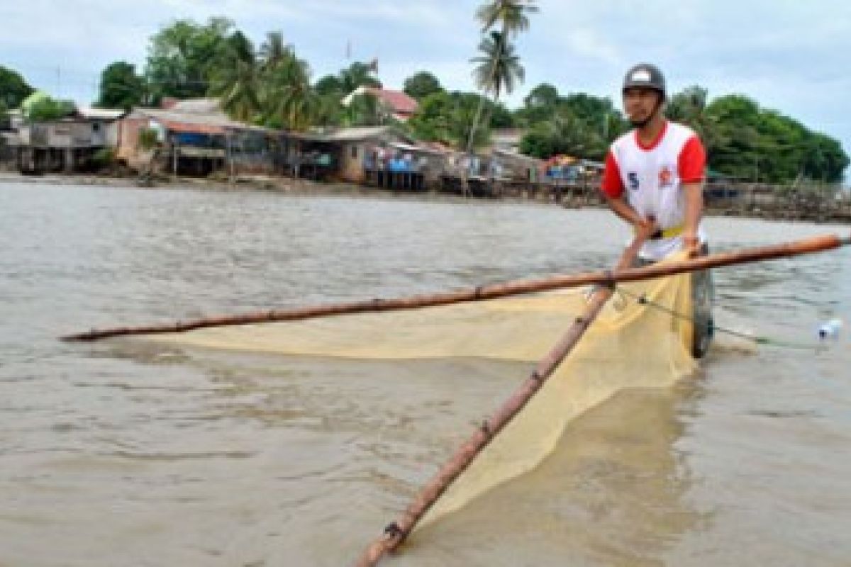Sondong Udang Tanjungpinang