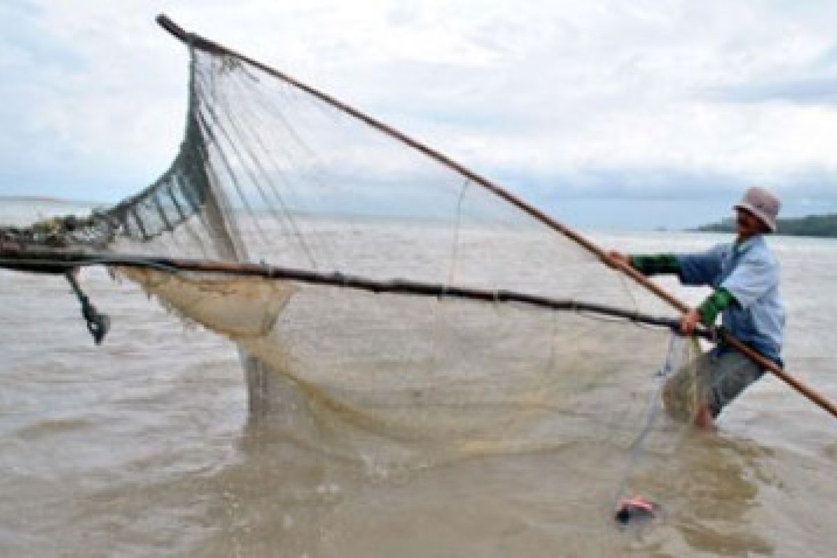 Nelayan Tradsional Udang