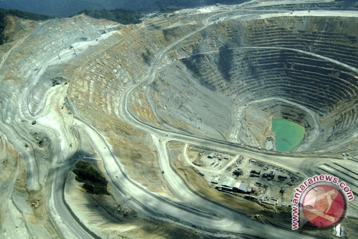 DPR minta Menkeu laporkan divestasi Newmont