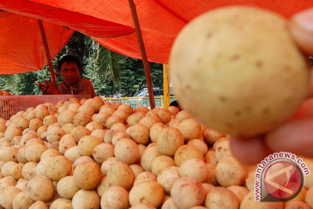 Buah Duku Lokal Mulai Banjir Pasaran