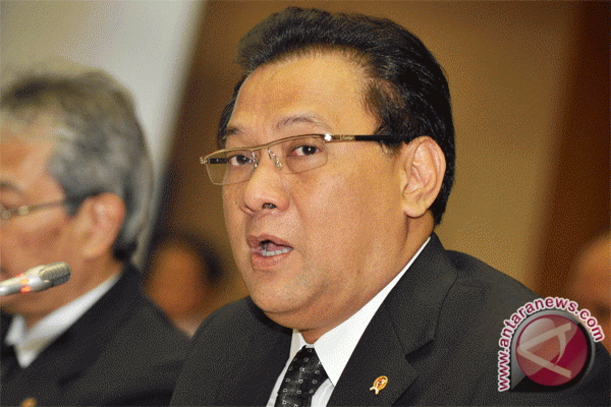 Finance Minister: RI economy safe from US, European crisis