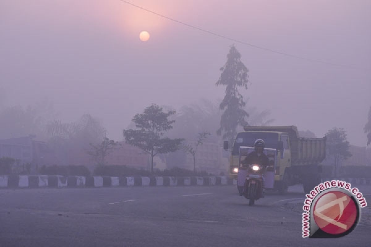 Haze comes back in Sumatra and Kalimantan