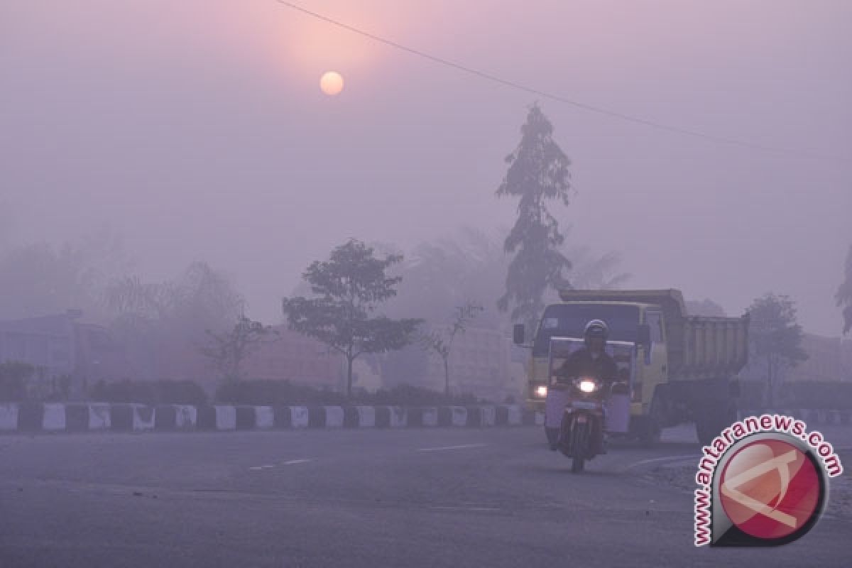 Kabut Asap Kembali Cemari Udara Dumai