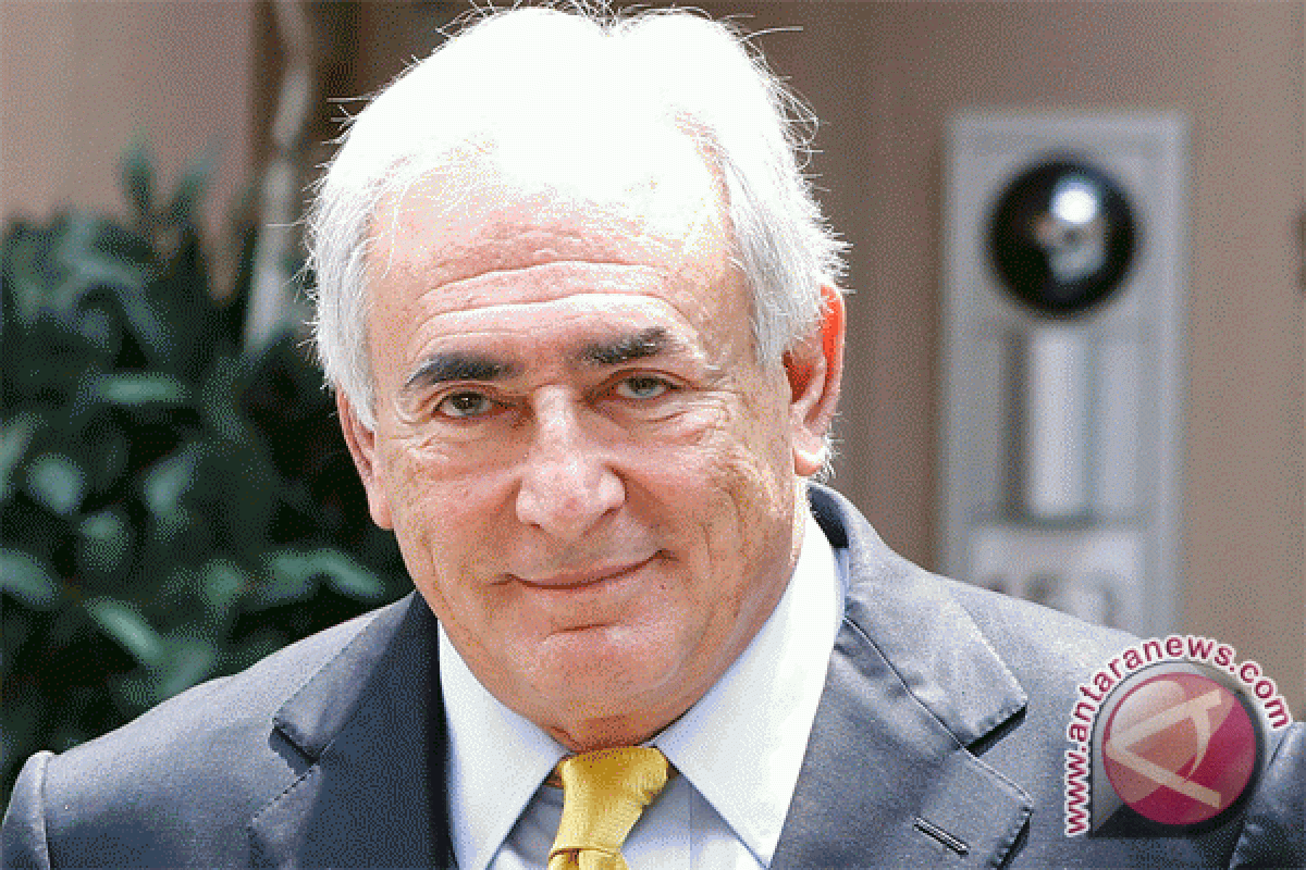 Strauss-Kahn says he has no problem with women