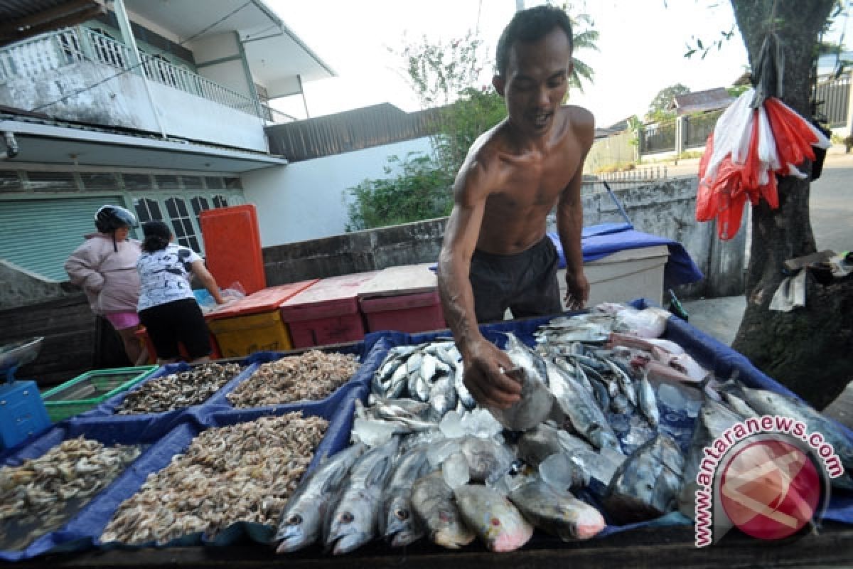 Fish stocks enough for Lebaran