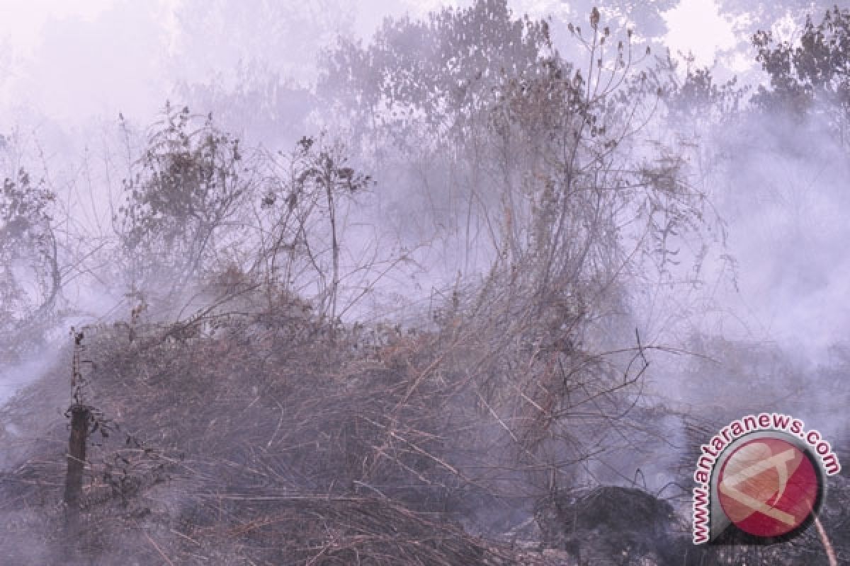 Dishut Kirim Tim Manggala Agni ke Kerinci