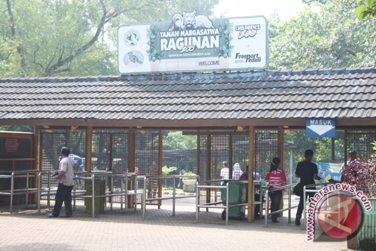 Kebun Binatang Ragunan tutup bagi pengunjung pada hari pertama Idul Fitri