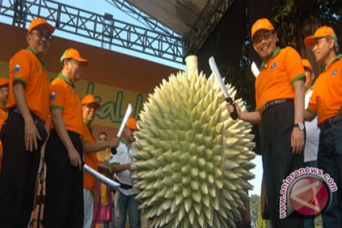 Govt launches "Love Indonesian Fruits" 