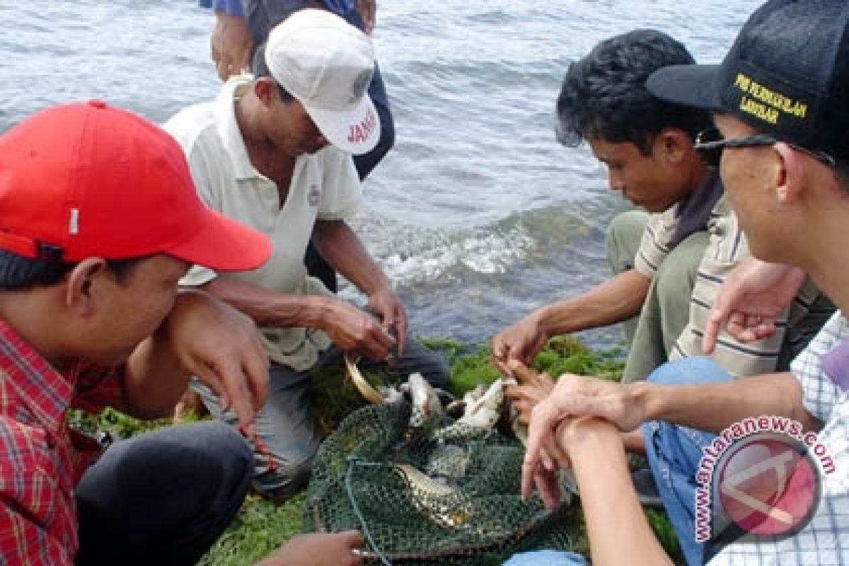 Danau Ranau Lampung Barat Butuh Investor