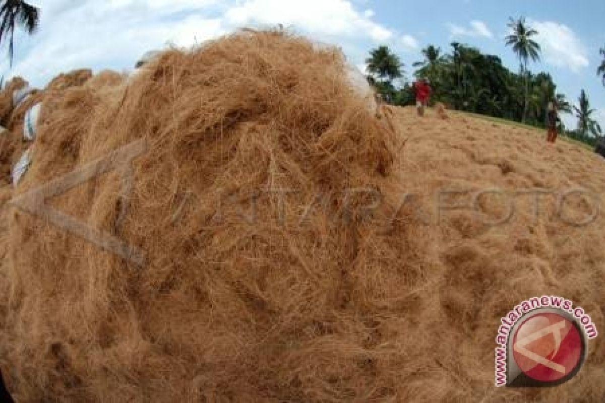 Produksi Serat Lampung Timur Turun