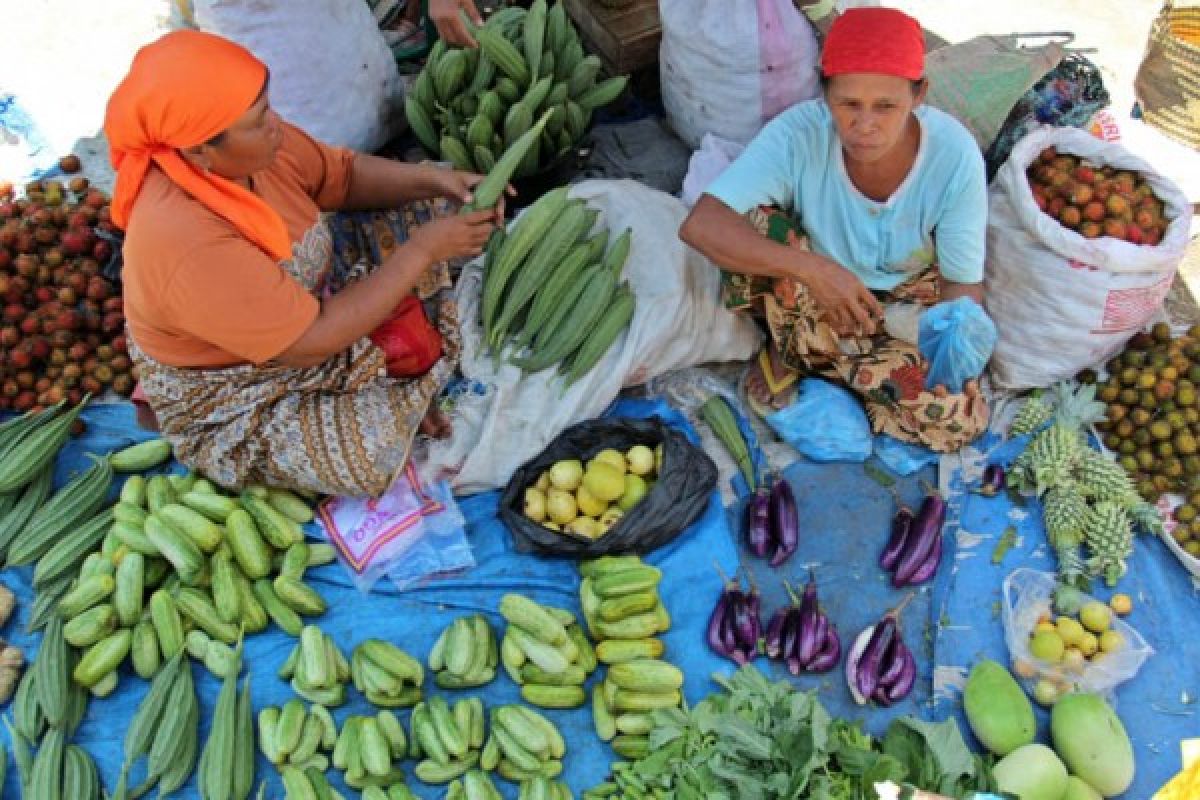 Harga Sayur dan Garam Naik di Agam