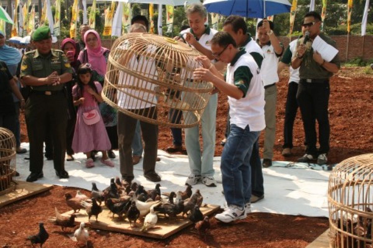 d'Green Pramuka Lanjutkan Pembangunan Menara Ketiga