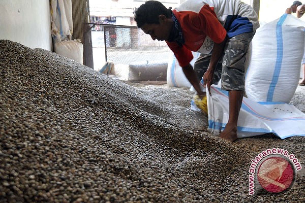 Ekspor kopi robusta Lampung naik