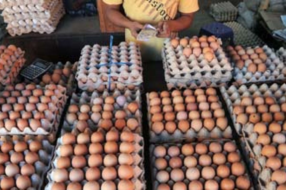 Perayaan Maulid Picu Kenaikan Harga Telur 