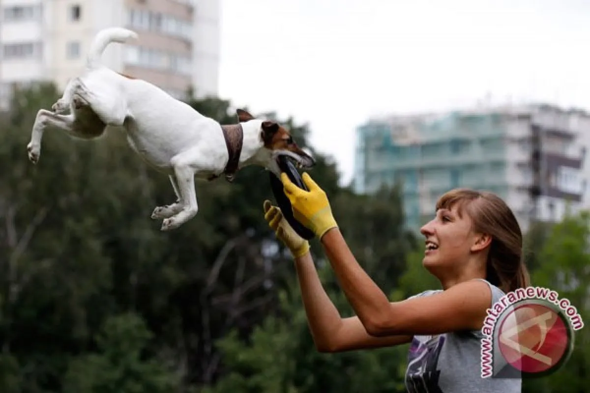 Hoaks! Perempuan Rusia yang dibesarkan anjing selama 16 tahun - ANTARA News