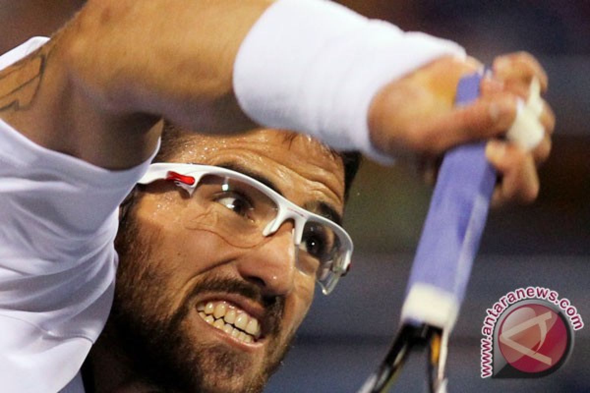 Tipsarevic tampil memukau sekembalinya ke ATP